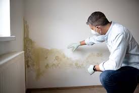 Biohazard Mold Removal in Silver Firs, WA